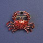Brosche Krabbe rote Emaille goldfarbenes Metall 23×30 mm