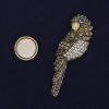 Papageienbrosche mit Magnetverschluss, Strasssteine, goldfarbenes Metall, 54×17 mm