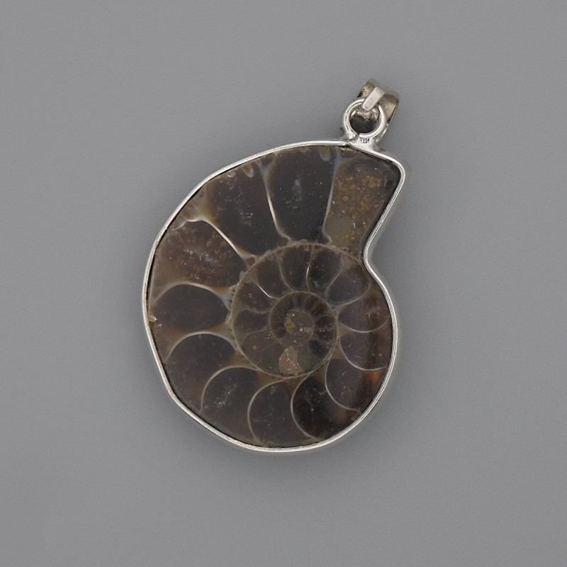 Anhänger Ammonit in silberfarbener Fassung 30×26 mm, Länge ca. 43 mm, assortierte Größen (je Stück)