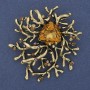 Brosche-Anhänger Akzent mit gelbem Kristall, Strasssteine, goldfarbenes Metall, 55×62 mm+