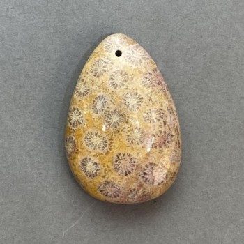 Anhänger aus fossiler Koralle 39×27 mm+