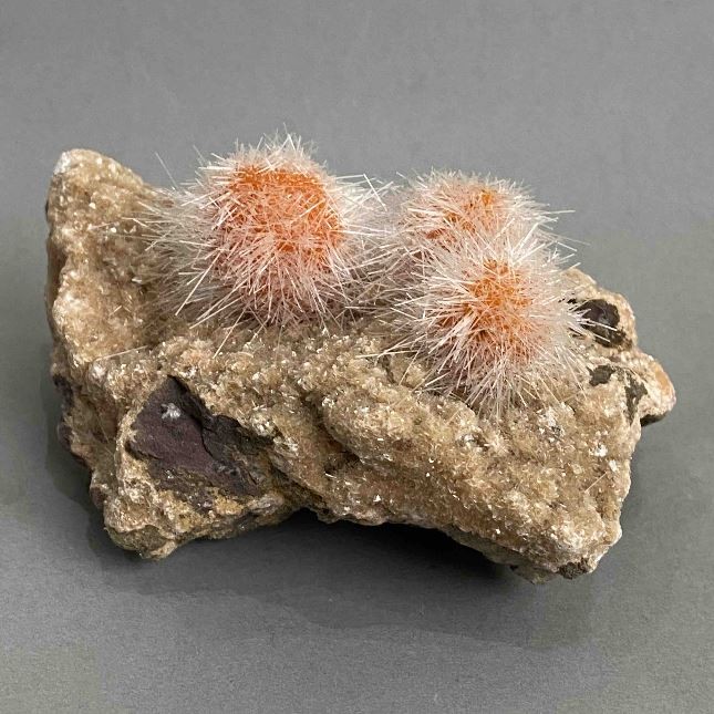 Indischer Löwenzahn-Zeolith-Souvenir 100×53×50 mm ± Gewicht 308 g +