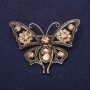 Brosche Schmetterling mit Strass in Champagnerfarbe, 54 × 40 mm, aus Gelbmetall