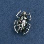 Brosche Maikäfer mit Haliotis, silberfarbene Metallfarbe, 3 × 2 cm